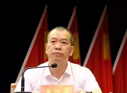 常委,书记,提名免去其武陵区人民政府区长职务