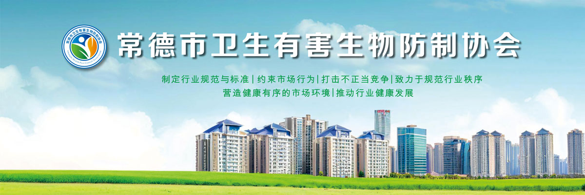 德商精神