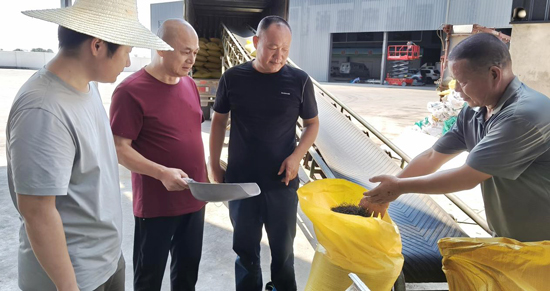 安乡县老科协深入调研指导，助力“一壶油”产业发展