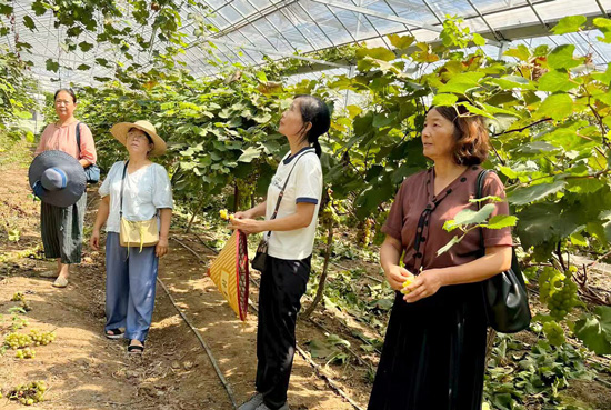 西洞庭管理区老科协深入企业开展调研活动