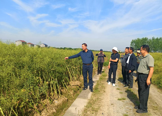 桃源县老科协组织观摩示范基地   