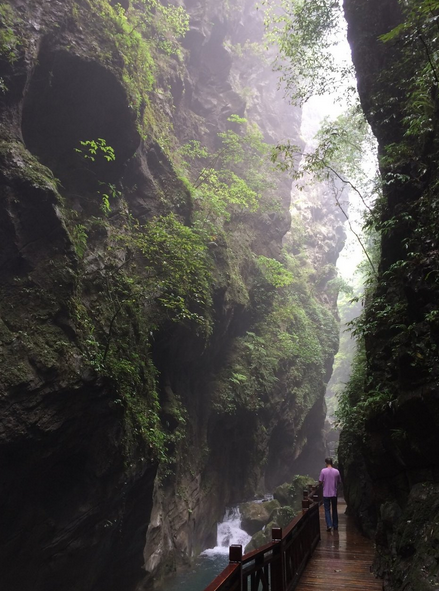 組織服務費,cs費用,餐費(3正餐1早餐),五雷山門票費,朝陽地縫門票費用